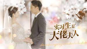 电影：实习生是大佬夫人