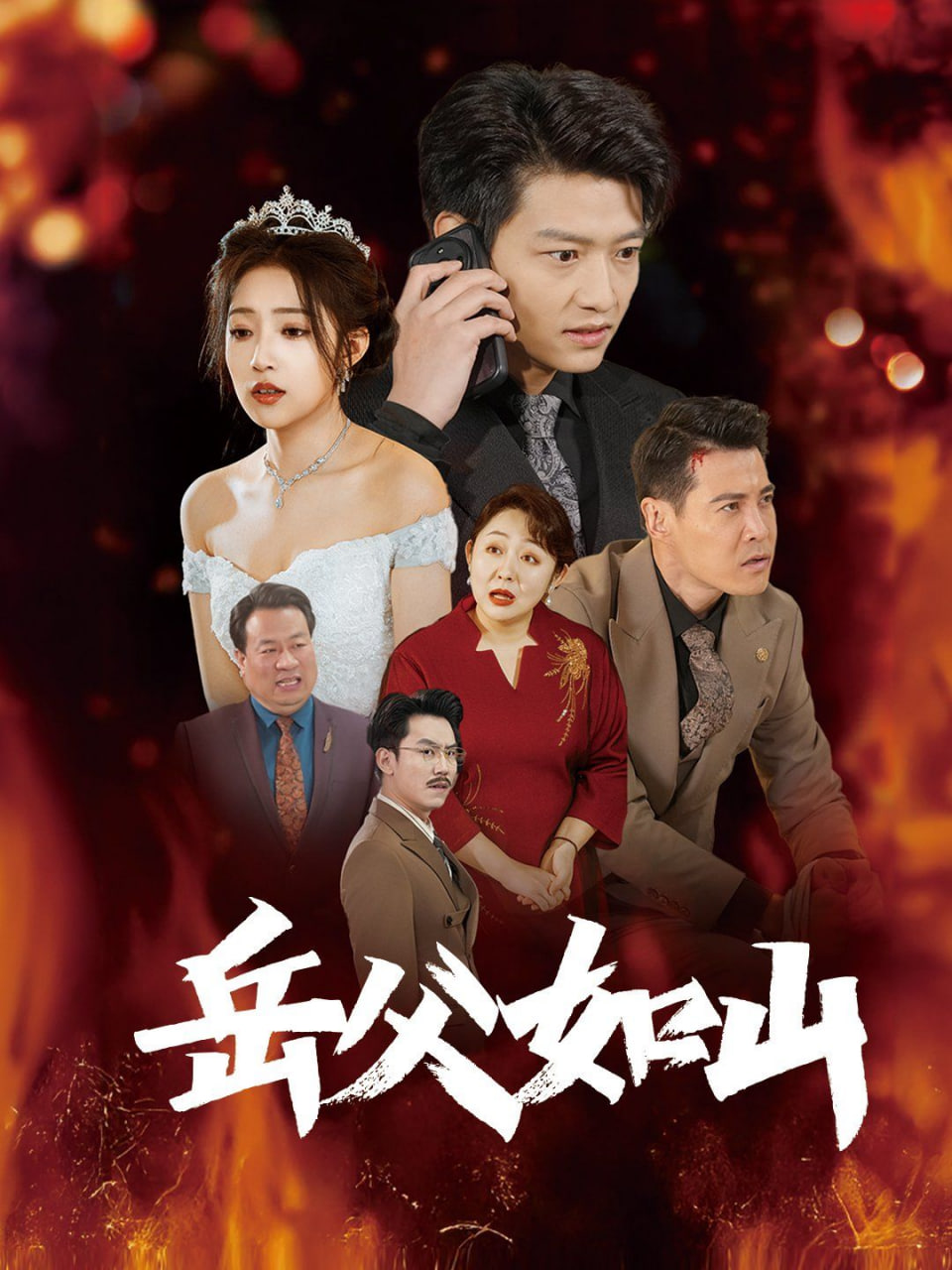 电影:岳父如山(岳父的礼物)