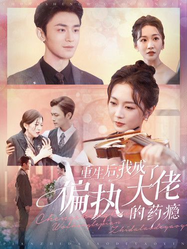 电影：重生后我成了偏执大佬的药瘾