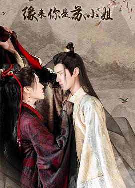 电影:缘来你是苏小姐