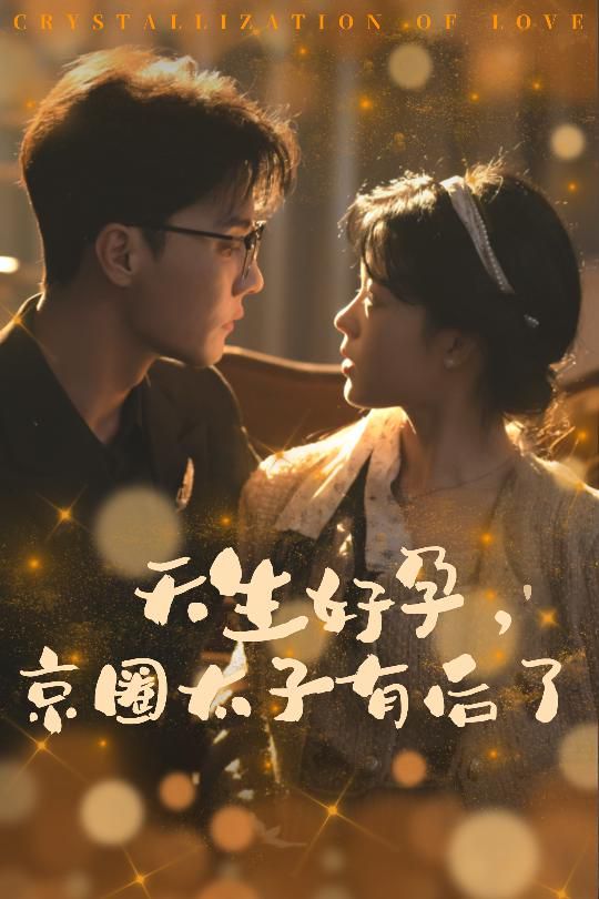 电影:天生好孕京圈太子有后了(你与光共落人间)