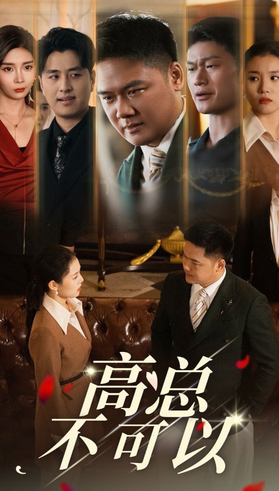 电影：高总不可以