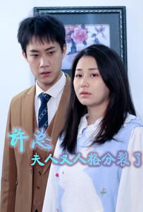 电影：许总，夫人又人格分裂了