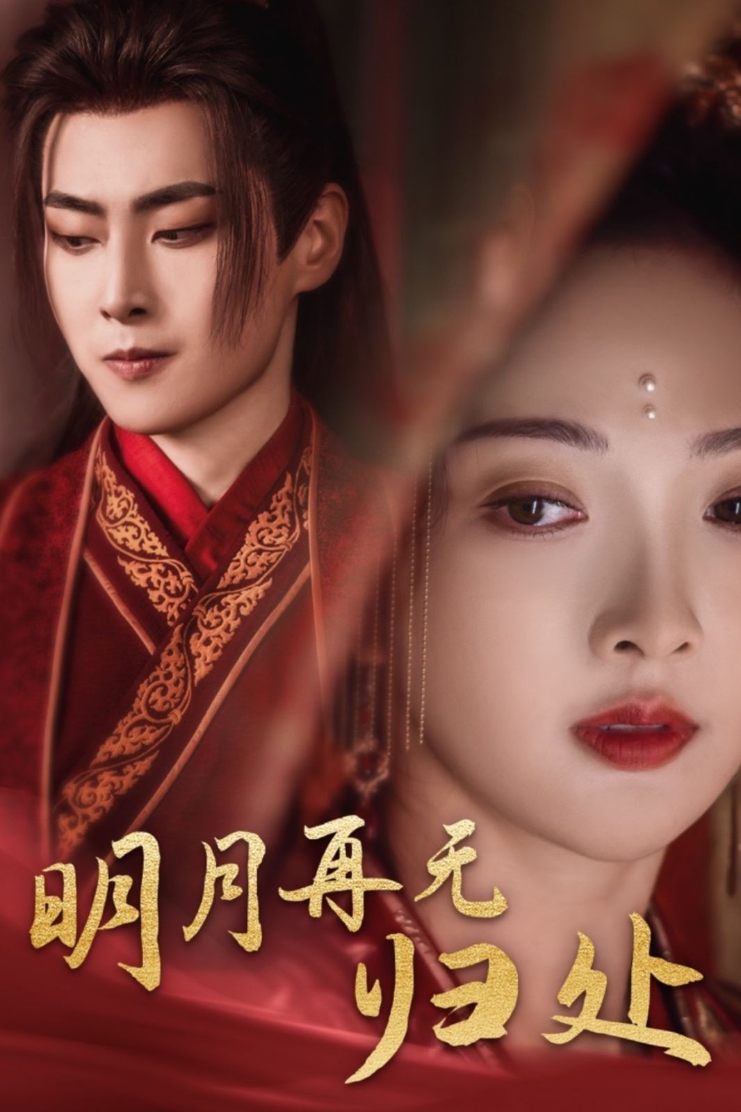 电影：明月再无归处