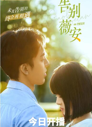 电影:告别薇安
