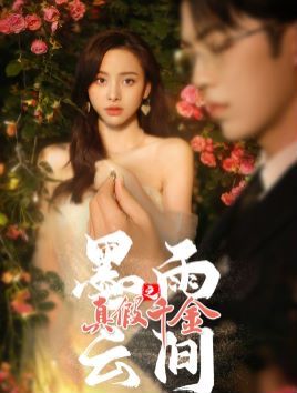 电影:墨雨云间之真假千金