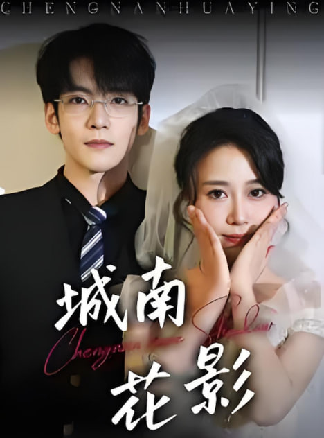 电影：城南花影