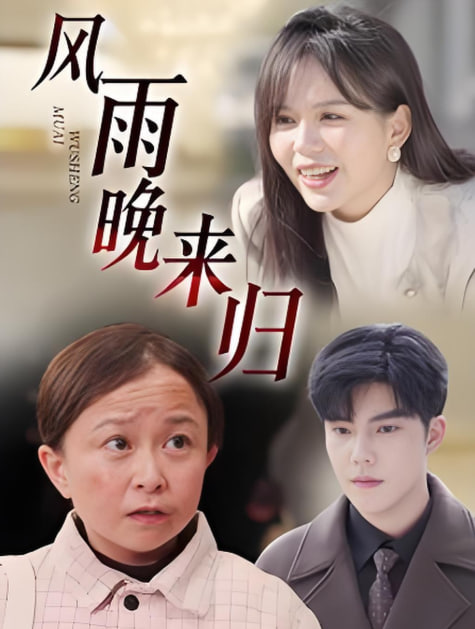 电影：风雨晚来归