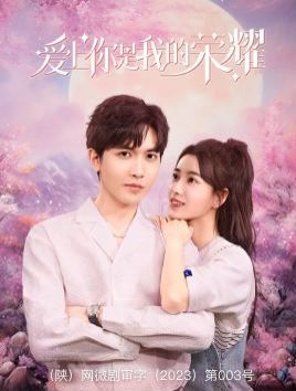 电影：爱上你是我的荣耀