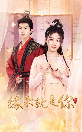 电影：缘来就是你
