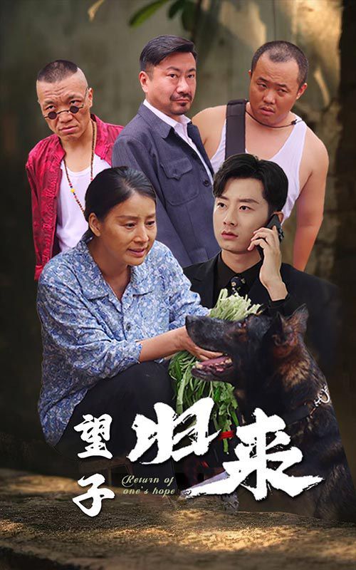 电影：望子归来