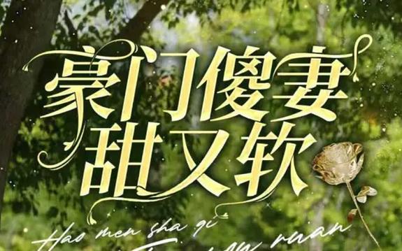 电影：豪门傻妻甜又软