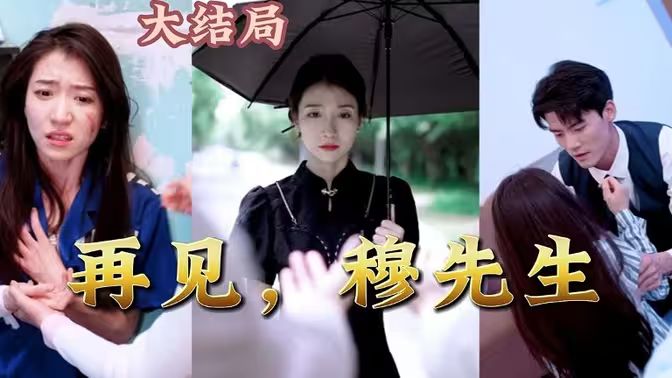 电影：再见，穆先生