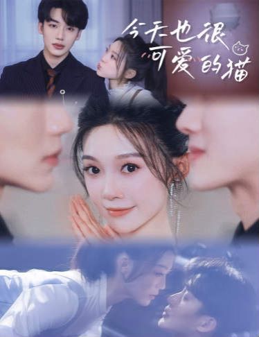 电影：今天也很可爱的猫
