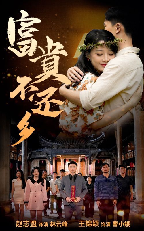 电影：富贵不还乡