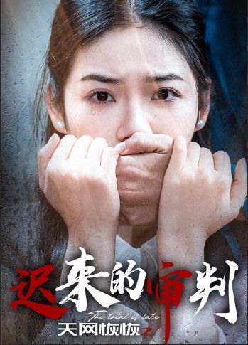 电影：天网恢恢之迟来的审判