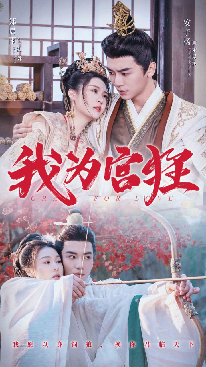 电影：我为宫狂