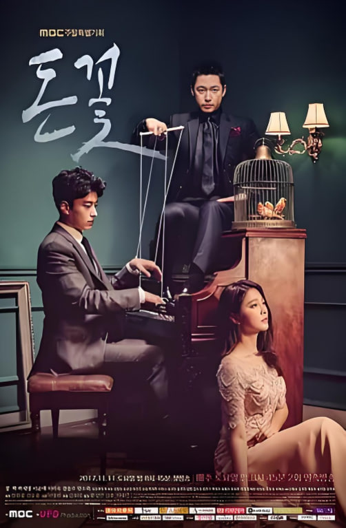 电影：金钱之花