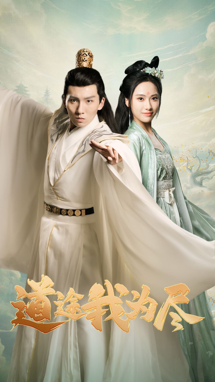 电影：道途我为尽