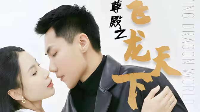 电影:帝尊殿之飞龙天下