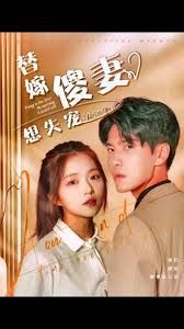 电影：替嫁傻妻想失宠