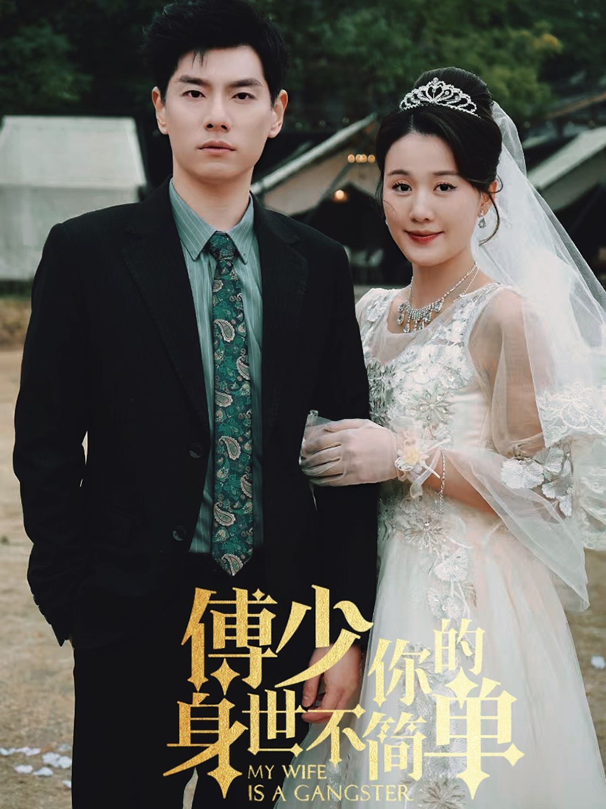 电影：傅少你的身世不简单