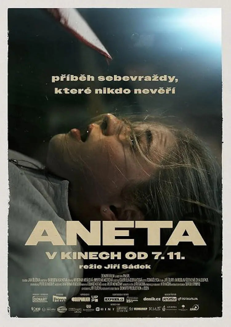 电影：Aneta
