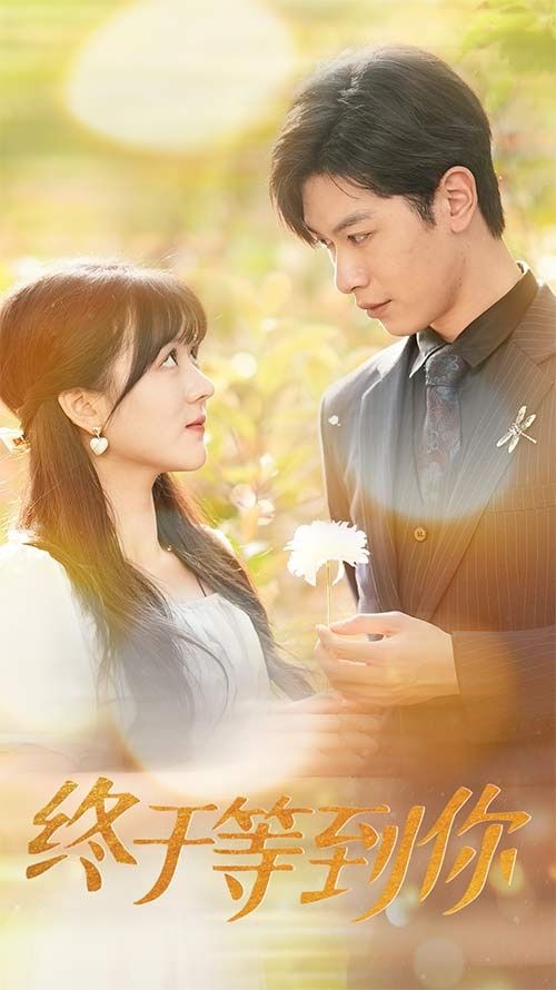 电影：终于等到你（你是我的木槿年华）