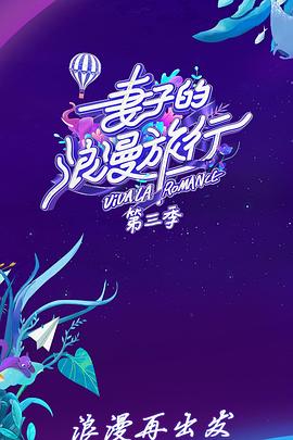 电影：妻子的浪漫旅行 第三季