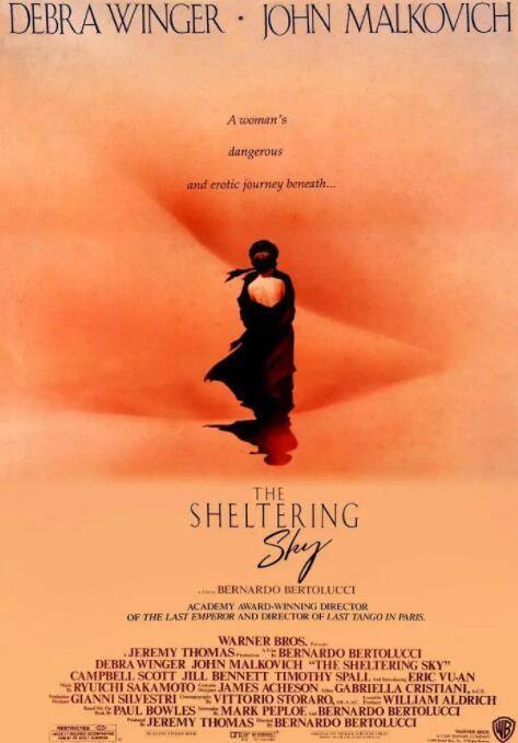 电影:遮蔽的天空