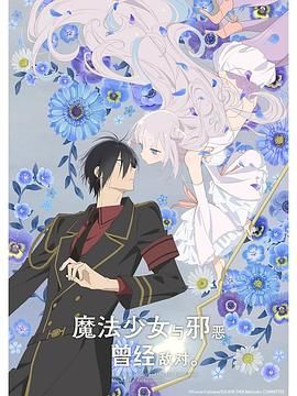 电影:魔法少女与恶曾是敌人