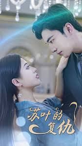 电影：苏叶的复仇