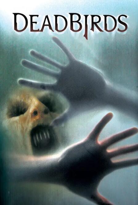 电影：索魂恶鸟