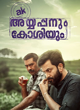 电影:阿亚潘和柯西(英语版)