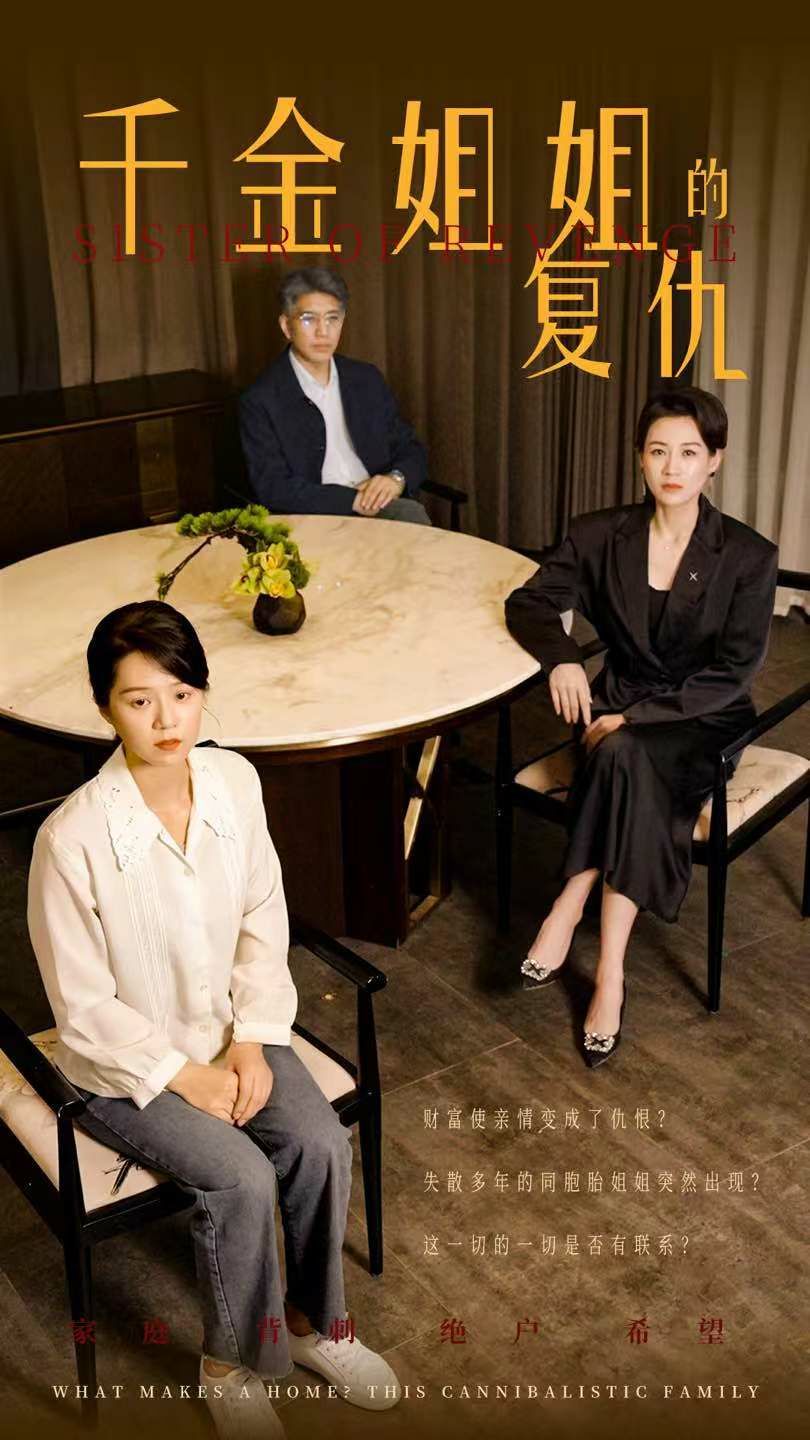 电影：千金姐姐的复仇