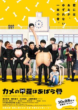 电影:乌龟的壳其实是肋骨