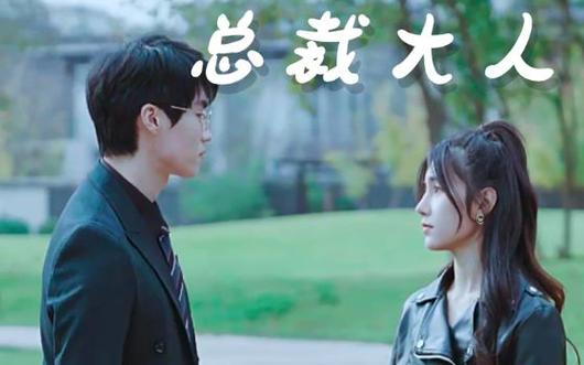 电影：我的总裁大人