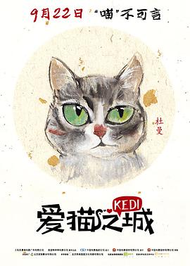 电影:爱猫之城