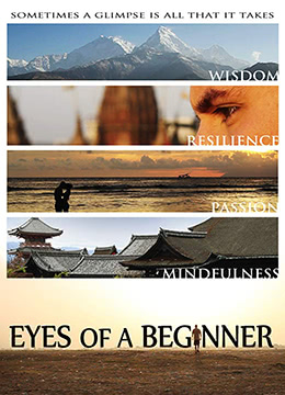 电影：重获光明之旅