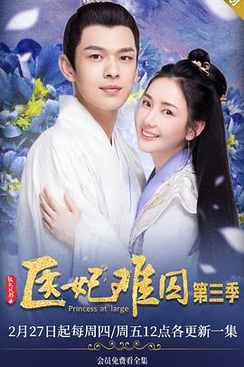 电影：医妃难囚 第三季