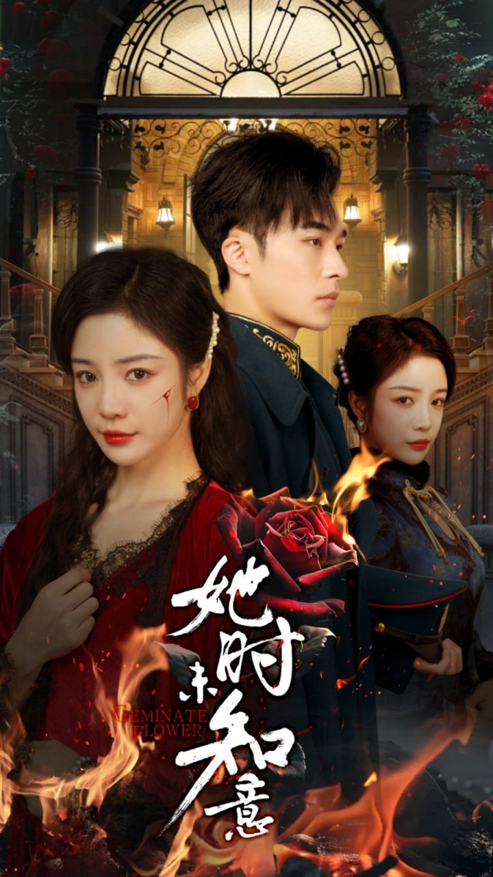 电影：她时未知意