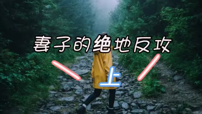 电影：妻子的绝地反攻