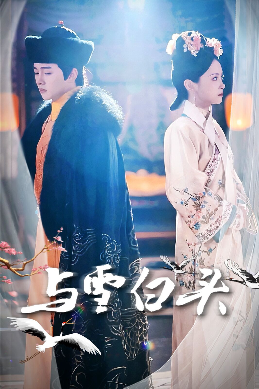 电影：与雪白头