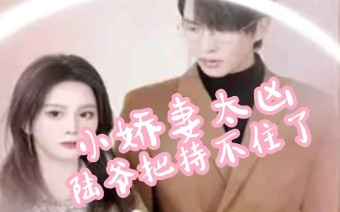 电影：小娇妻太凶,陆爷把持不住了