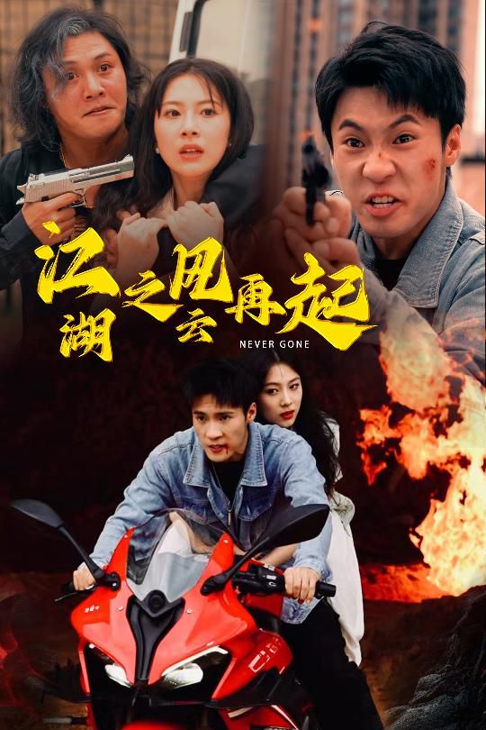 电影：江湖之风云再起