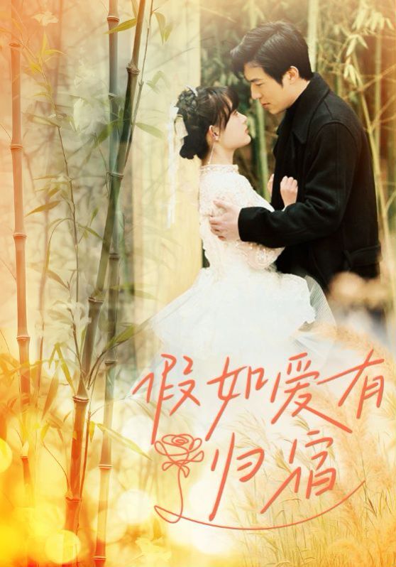 电影：假如爱有归宿