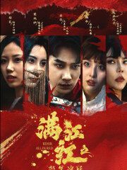 电影:满江红之怒发冲冠