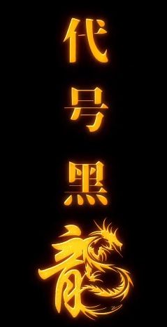 电影：代号黑龙