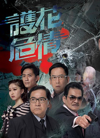 电影：护花危情