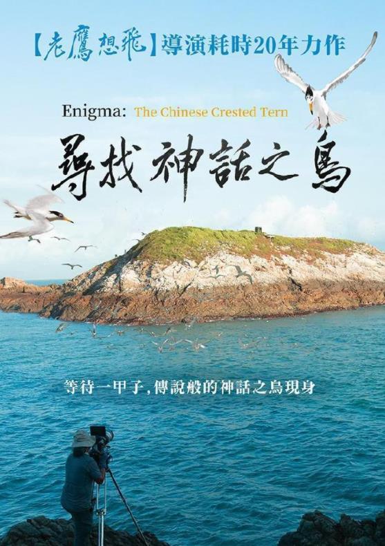 电影:寻找神话之岛